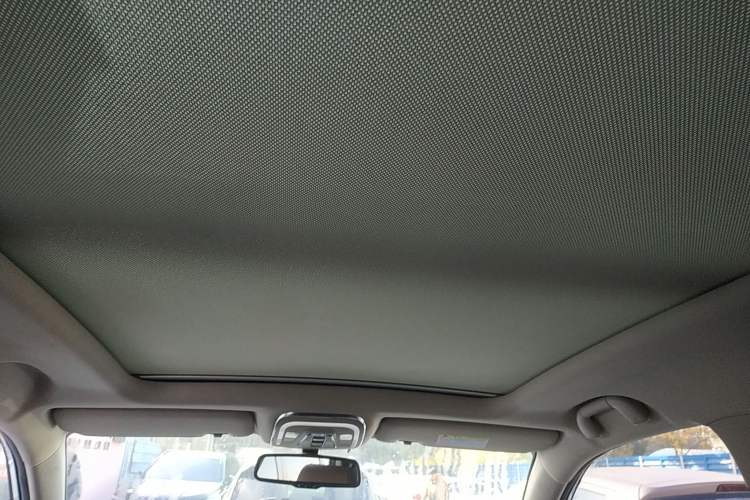 Used BYD Tang New Energy 2017 2.0T All-Wheel Drive Hyatt Model Headliner