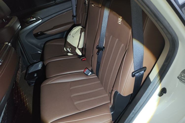 Used BYD Tang New Energy 2017 2.0T All-Wheel Drive Hyatt Model Left Rear Seat