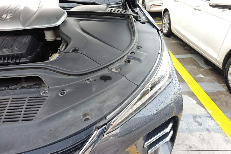 Used BYD Tang New Energy 2018 DM 2.0T All-Wheel Drive Smart Connect Elite 7-Seater China V Emission Standard Engine Bay Left