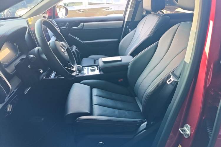 Used BYD Tang New Energy 2018 DM 2.0T All-Wheel Drive Smart Connect Elite 7-Seater China V Emission Standard Left Front Seat