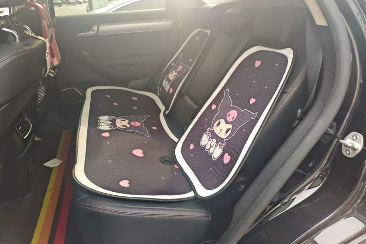 Used BYD Tang New Energy 2019 EV600D Four-Wheel Drive Smart Connectivity Leading Model Left Rear Seat