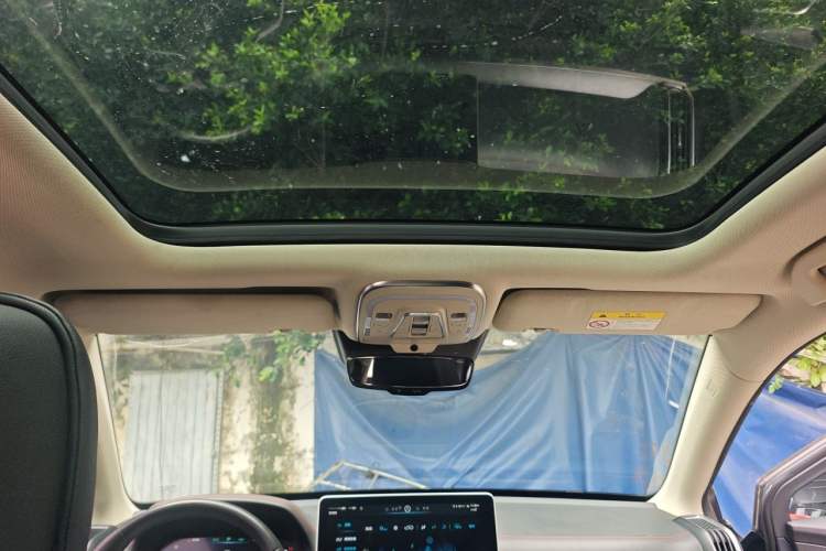 Used BYD Tang New Energy 2019 DM 2.0T All-Wheel Drive Connected Leading Model 7 Seats China VI Standard Headliner