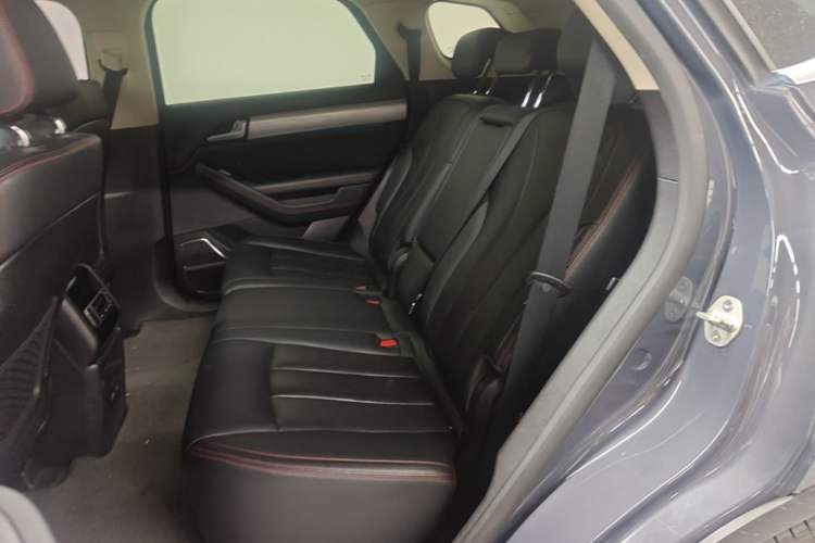Used BYD Tang New Energy 2019 DM 2.0T All-Wheel Drive Connected Innovation Edition 7 Seats China VI Standard Left Rear Seat