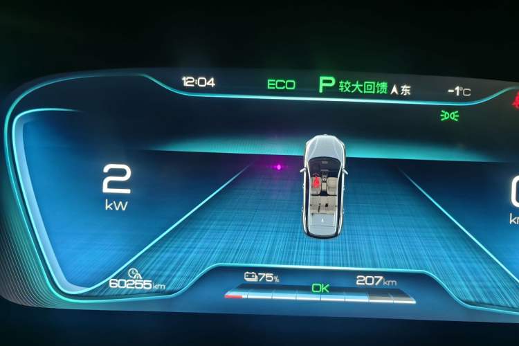 Used BYD Tang New Energy 2019 EV600D Four-Wheel Drive Smart Connect Genesis Edition Odometer Close Up