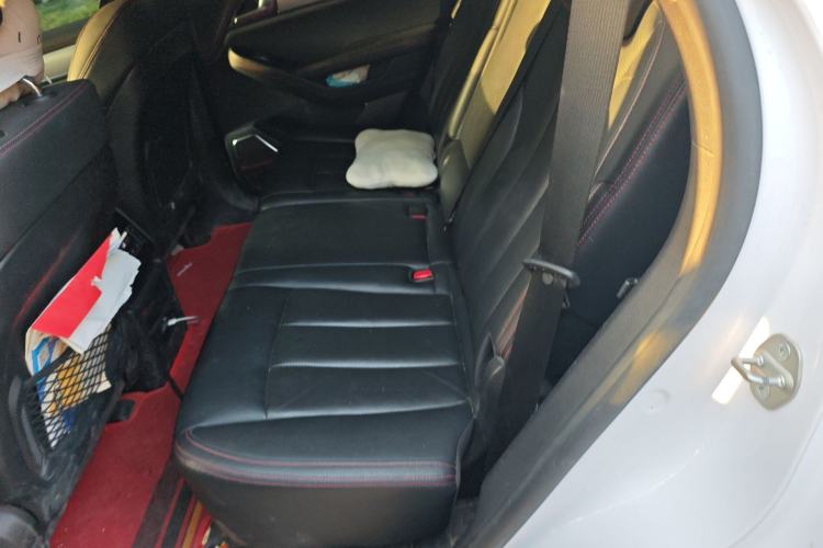Used BYD Tang New Energy 2019 DM 2.0T All-Wheel Drive Connected Innovation Edition 7 Seats China VI Standard Left Rear Seat