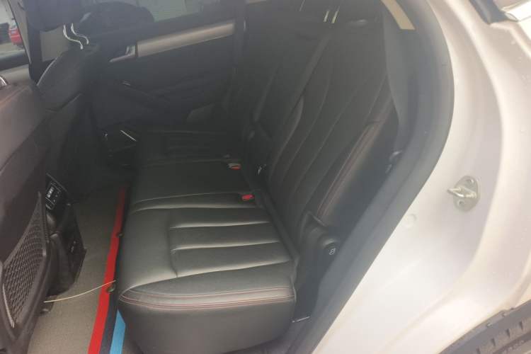 Used BYD Tang New Energy 2019 DM 2.0T All-Wheel Drive Connected Innovation Edition 7 Seats China VI Standard Left Rear Seat