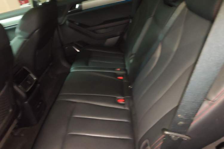 Used BYD Tang New Energy 2019 EV600D Four-Wheel Drive Smart Connectivity Leading Model Left Rear Seat