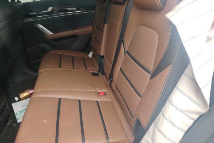 Used BYD Tang New Energy 2020 DM 2.0T Dual-Engine All-Wheel Drive Prestige 7-Seater China VI Standard Left Rear Seat