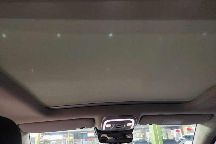 Used BYD Tang New Energy 2020 DM 2.0T Dual-Engine All-Wheel Drive Prestige 7-Seater China VI Standard Headliner
