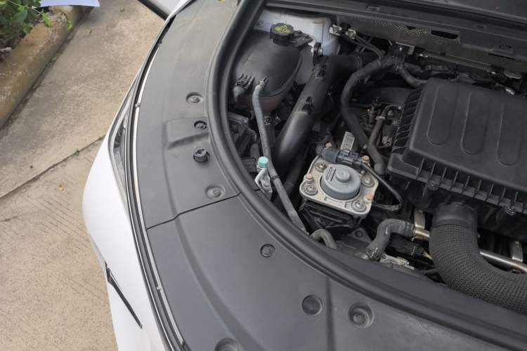 Used BYD Tang New Energy 2020 DM 2.0T Dual-Engine All-Wheel Drive Prestige 7-Seater China VI Standard Engine Bay Right