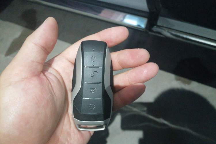 Used BYD Tang New Energy 2020 DM 2.0T Dual-Engine All-Wheel Drive Prestige 7-Seater China VI Standard Interior 1