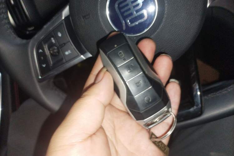 Used BYD Tang New Energy 2020 DM 2.0T Dual-Engine All-Wheel Drive Prestige 7-Seater China VI Standard Interior 1