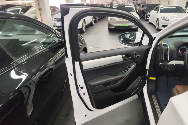 Used BYD Tang New Energy 2020 DM 2.0T Dual-Engine All-Wheel Drive Prestige 7-Seater China VI Standard Left Front Door Interior