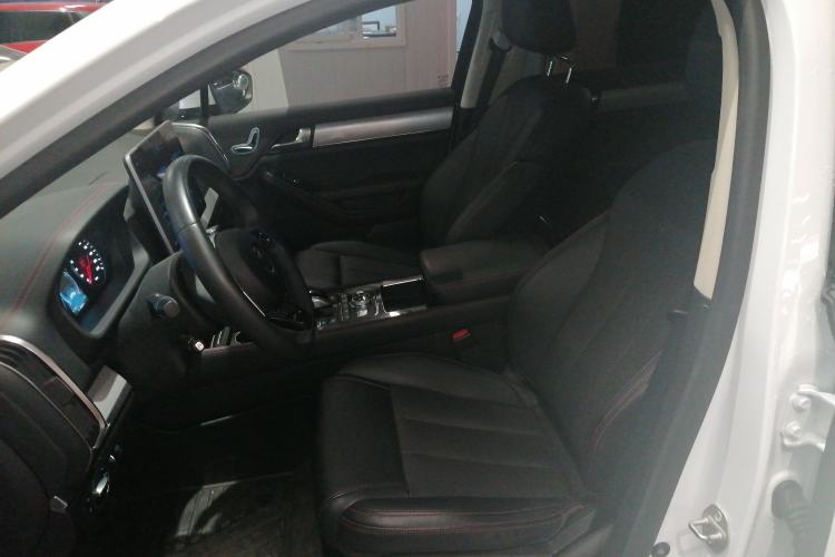 Used BYD Tang New Energy 2020 DM 2.0T Dual-Engine All-Wheel Drive Prestige 7-Seater China VI Standard Left Front Seat
