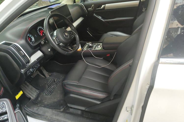 Used BYD Tang New Energy 2020 DM 2.0T Dual-Engine All-Wheel Drive Prestige 7-Seater China VI Standard Left Front Seat
