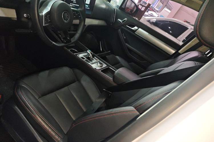 Used BYD Tang New Energy 2020 DM 2.0T Dual-Engine All-Wheel Drive Prestige 7-Seater China VI Standard Left Front Seat