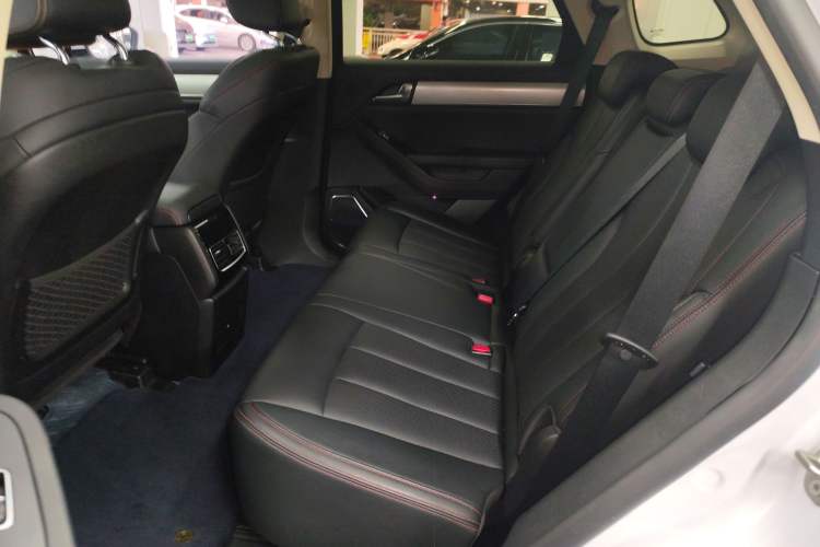 Used BYD Tang New Energy 2020 DM 2.0T Dual-Engine All-Wheel Drive Prestige 7-Seater China VI Standard Left Rear Seat