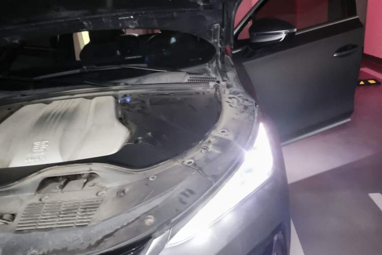 Used BYD Tang New Energy 2021 DM-i 112KM Prestige Model Engine Bay Left