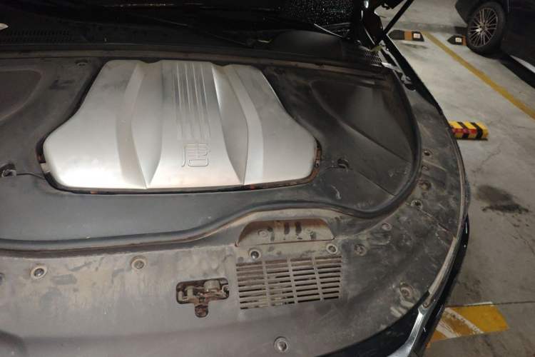 Used BYD Tang New Energy 2021 DM 2.0T Four-Wheel Drive High-Performance Flagship Model Engine Bay Left