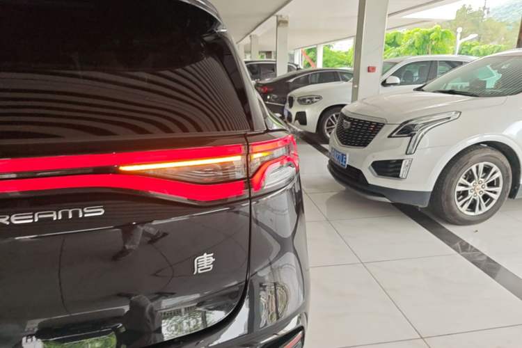 Used BYD Tang New Energy 2021 DM-i 112KM Prestige Model Exterior 3