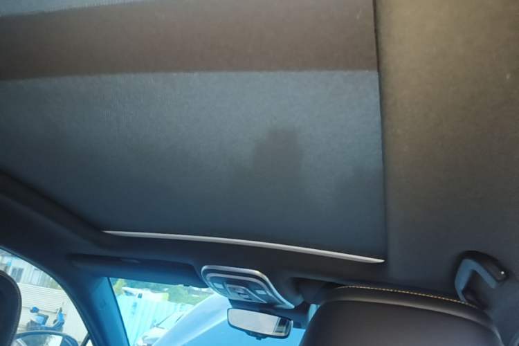 Used BYD Tang New Energy 2021 DM 2.0T Four-Wheel Drive Performance Edition Prestige Model Headliner