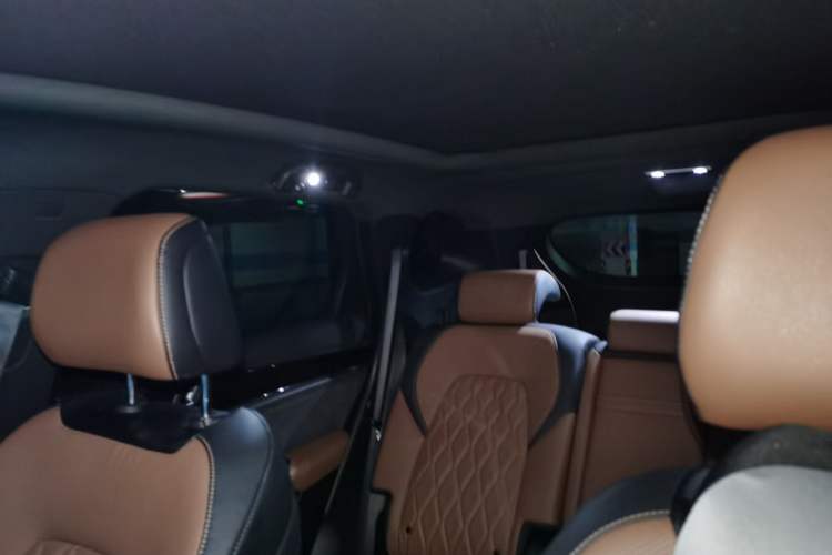 Used BYD Tang New Energy 2021 DM-i 112KM Prestige Model Headliner