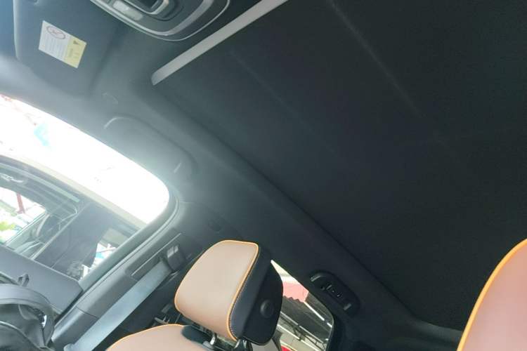 Used BYD Tang New Energy 2021 DM-i 112KM Prestige Model Headliner