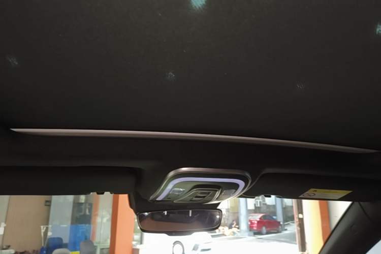 Used BYD Tang New Energy 2021 DM 2.0T Four-Wheel Drive Performance Edition Prestige Model Headliner
