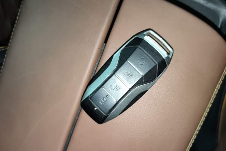 Used BYD Tang New Energy 2021 DM-i 112KM Prestige Model Interior 1