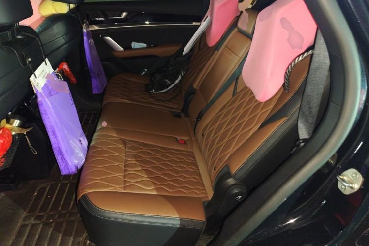 Used BYD Tang New Energy 2021 DM-i 112KM Prestige Model Left Rear Seat