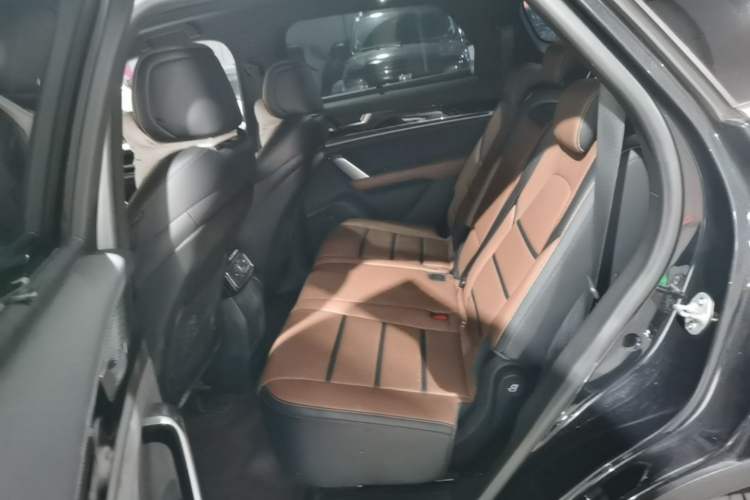 Used BYD Tang New Energy 2021 DM 2.0T Four-Wheel Drive Performance Edition Prestige Model Left Rear Seat