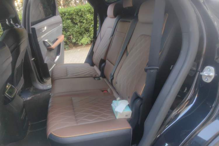 Used BYD Tang New Energy 2021 DM 2.0T Four-Wheel Drive High-Performance Flagship Model Left Rear Seat