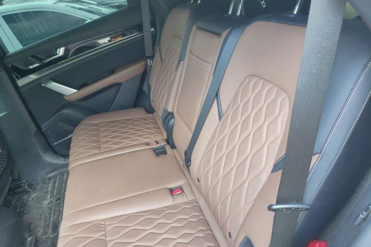 Used BYD Tang New Energy 2021 DM-i 112KM Prestige Model Left Rear Seat