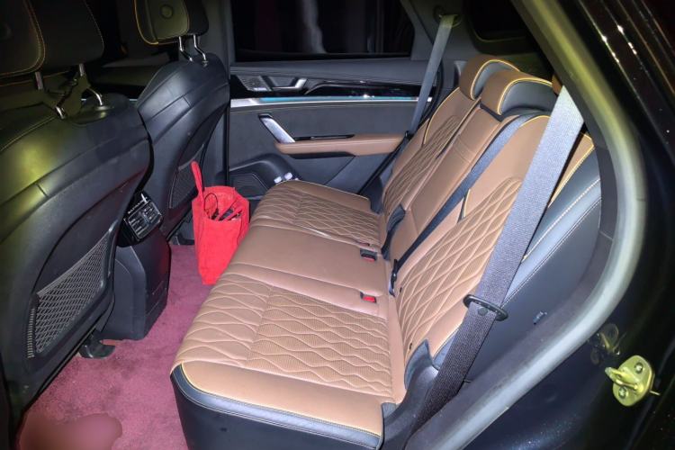 Used BYD Tang New Energy 2021 DM-i 112KM Prestige Model Left Rear Seat