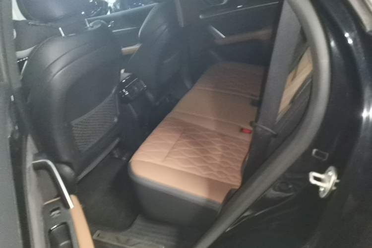 Used BYD Tang New Energy 2021 DM-i 112KM Prestige Model Left Rear Seat