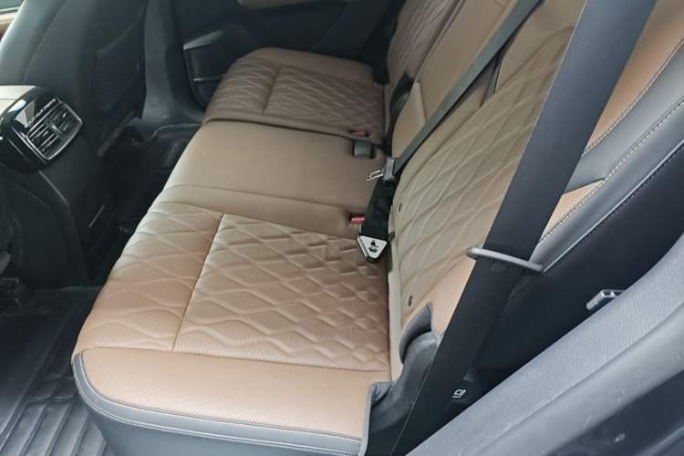 Used BYD Tang New Energy 2021 DM-i 112KM Prestige Model Left Rear Seat