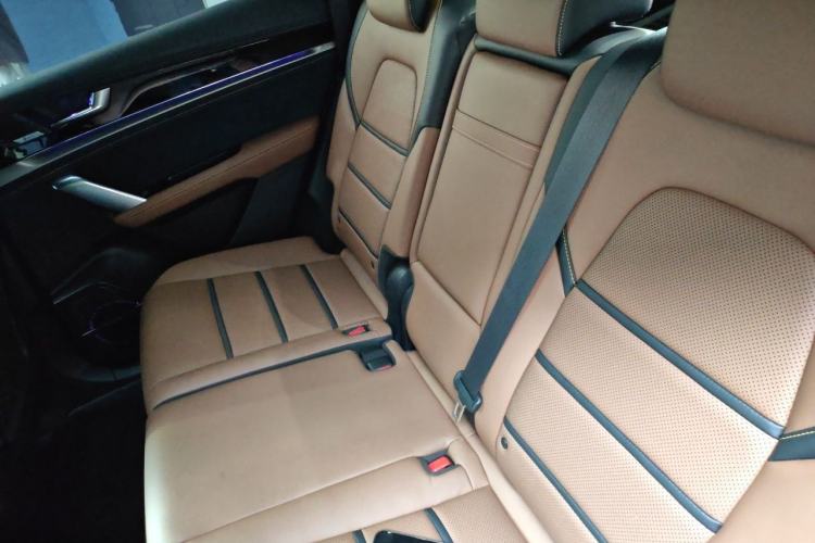 Used BYD Tang New Energy 2021 DM 2.0T Four-Wheel Drive Performance Edition Prestige Model Left Rear Seat