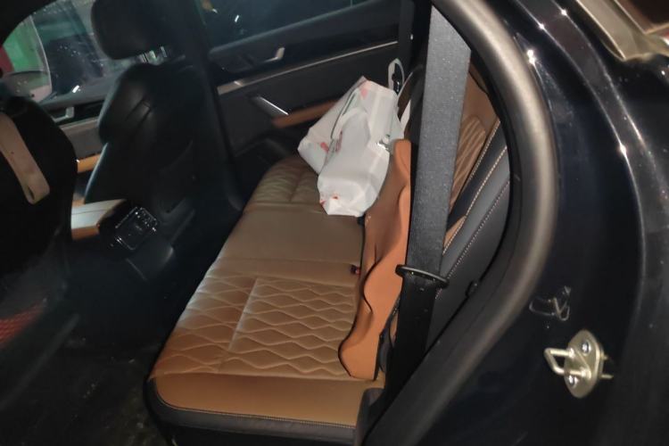 Used BYD Tang New Energy 2021 DM-i 112KM Prestige Model Left Rear Seat
