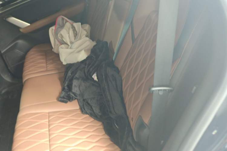 Used BYD Tang New Energy 2021 DM-i 112KM Prestige Model Left Rear Seat