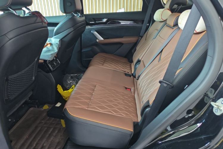 Used BYD Tang New Energy 2021 DM-i 112KM Prestige Model Left Rear Seat