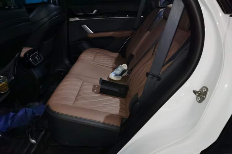 Used BYD Tang New Energy 2021 DM-i 112KM Prestige Model Left Rear Seat