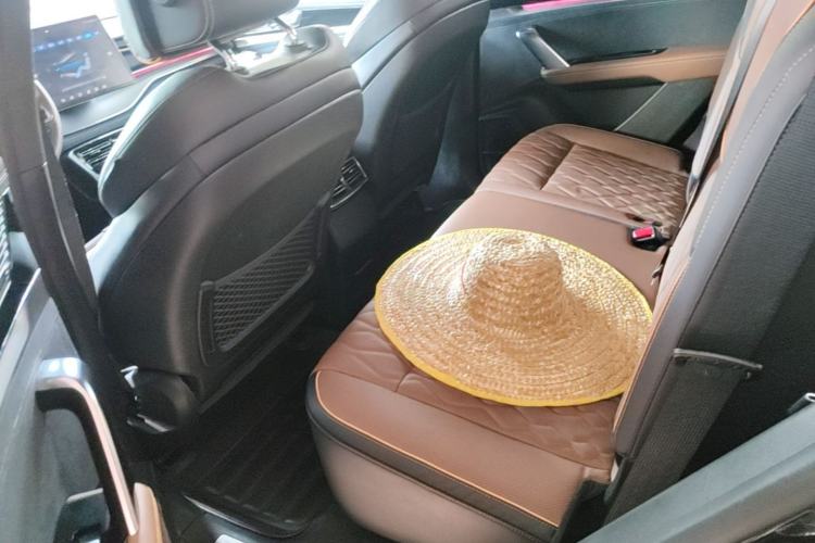 Used BYD Tang New Energy 2021 DM-i 112KM Prestige Model Left Rear Seat