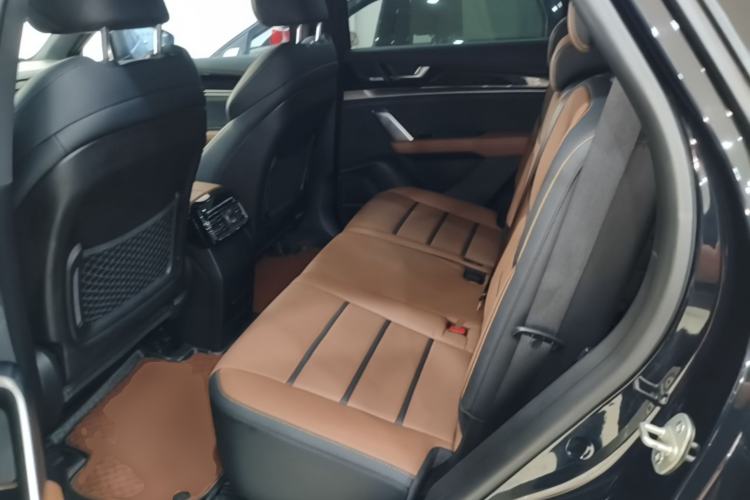 Used BYD Tang New Energy 2021 DM 2.0T Four-Wheel Drive Performance Edition Prestige Model Left Rear Seat