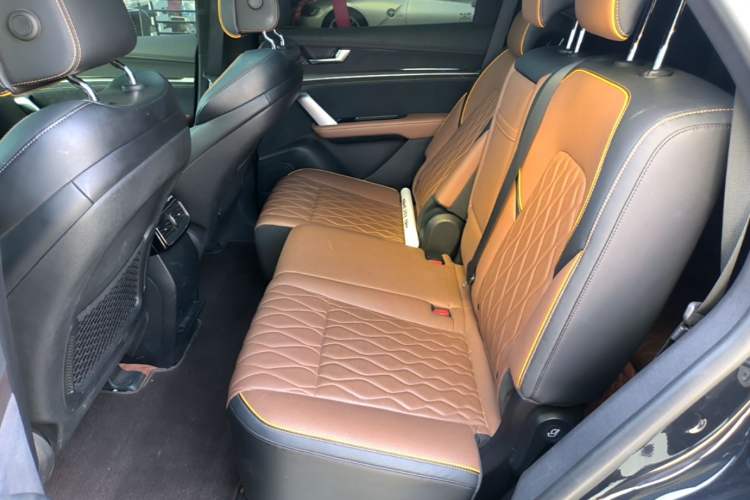 Used BYD Tang New Energy 2021 DM-i 112KM Prestige Model Left Rear Seat