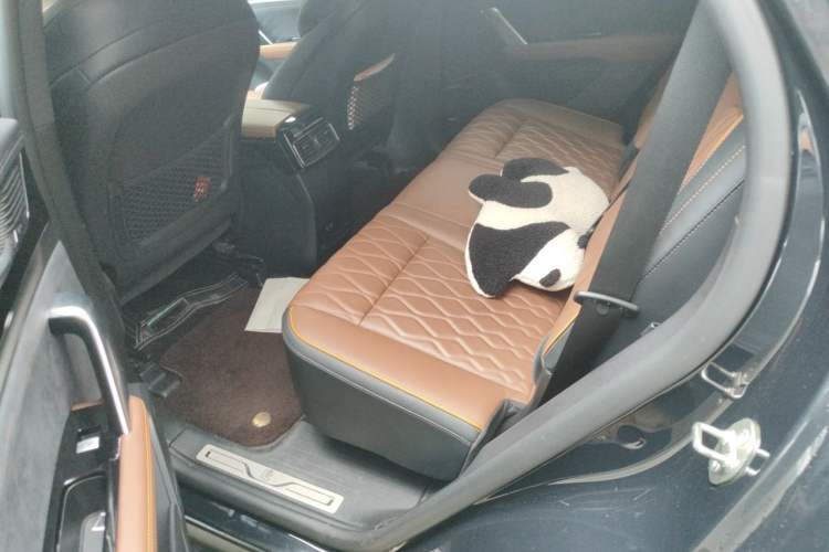 Used BYD Tang New Energy 2021 DM-i 112KM Prestige Model Left Rear Seat