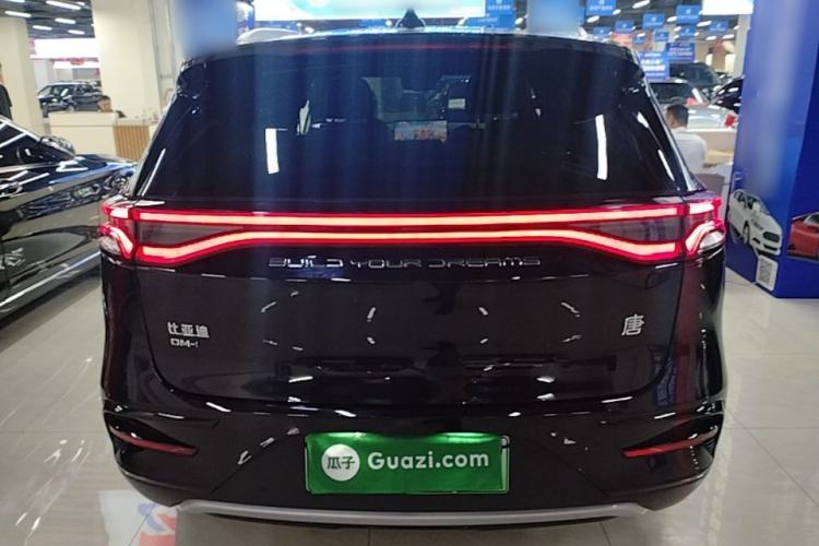 Used BYD Tang New Energy 2021 DM-i 112KM Prestige Model Rear