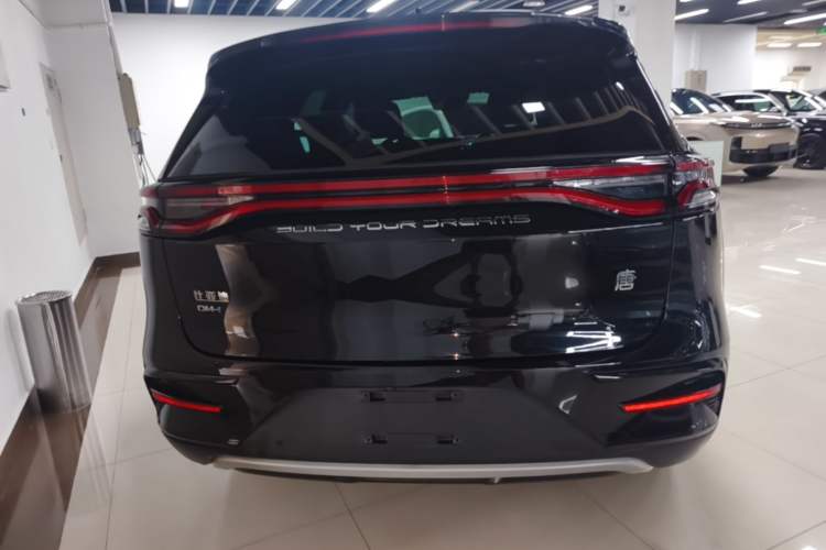 Used BYD Tang New Energy 2021 DM-i 112KM Prestige Model Rear