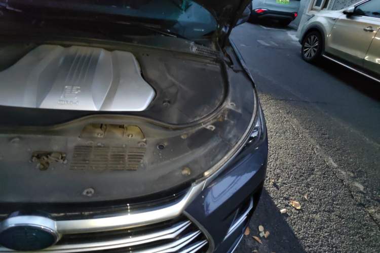 Used BYD Tang New Energy 2021 DM-i 112KM Prestige Model Engine Bay Left