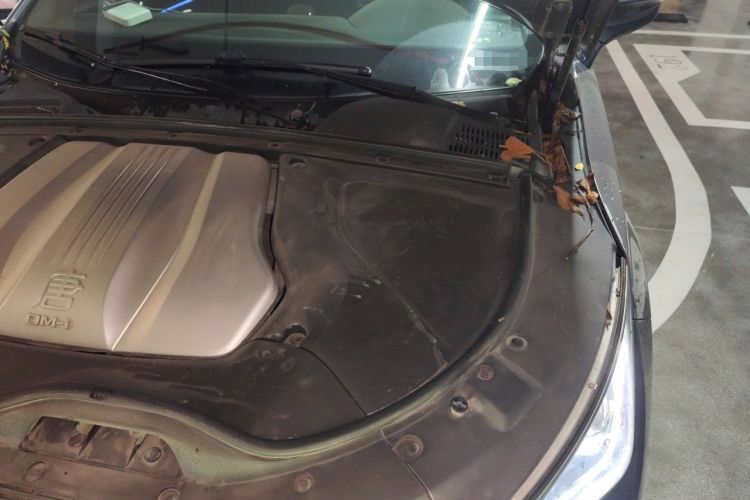 Used BYD Tang New Energy 2021 DM-i 112KM Prestige Model Engine Bay Left