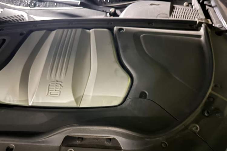Used BYD Tang New Energy 2021 DM 2.0T Four-Wheel Drive High-Performance Flagship Model Engine Bay Left